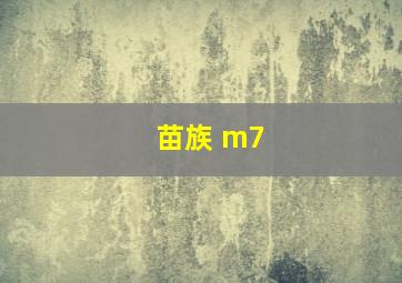 苗族 m7